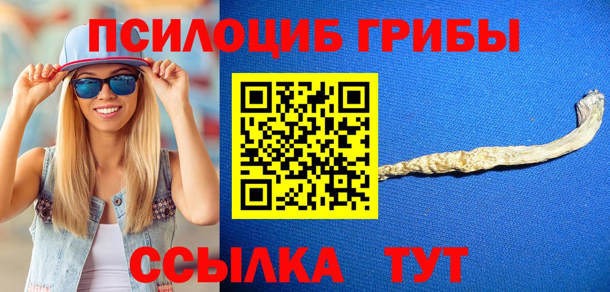 Псилоцибиновые грибы Psilocybine cubensis  Вход с VPN  Семёнов  купить наркоту  Псилоцибиновые грибы Magic Shrooms 